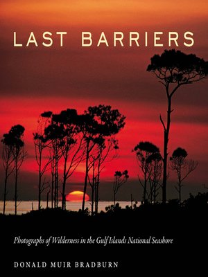 cover image of Last Barriers